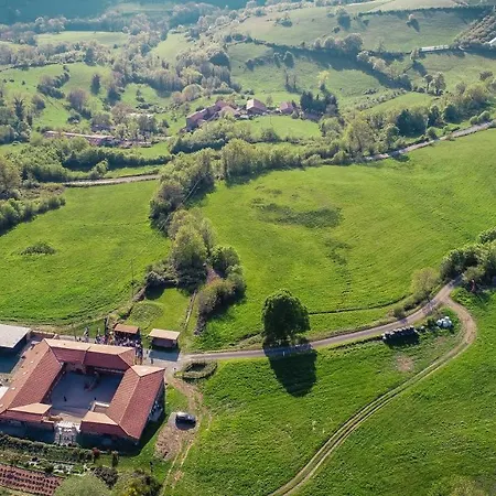 Des Grillons Saint-Forgeux